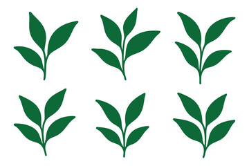 Green Leaves Vector Illustration Set on White Background for Botanical Designs