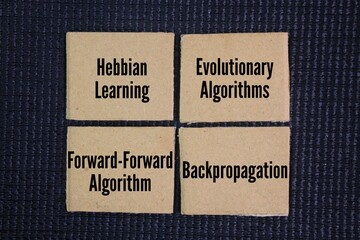 The Four Pillars of AI Learning are Hebbian Learning, Evolutionary Algorithms, Forward-Forward...