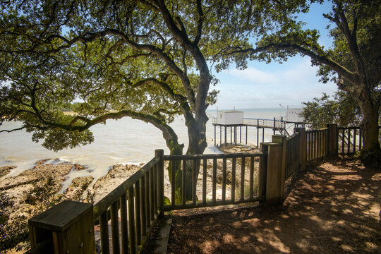 sentier des douaniers,arbres et maisons de pecheurs , pontons de p&ecirc;che au carrelet face &agrave; l'ocean atlantique, a Saint Palais sur Mer a c&ocirc;t&eacute; de Royan en region nouvelle aquitaine