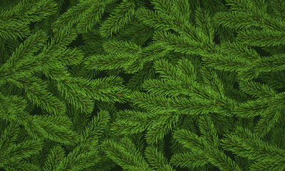 Christmas tree background, fir branch pattern, green pine