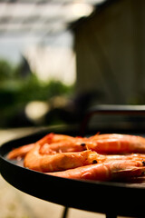 Freshly grilled shrimp rest on a black grill plate, with vibrant green grass providing a lively backdrop in a sunny outdoor environment, suggesting a barbecue gathering.