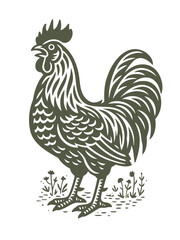 Rooster illustration in bold folk engraving style vector