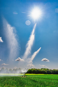 Irrigation system watering corn field under bright summer sun