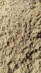 Texture of Wet Sand Showcasing Patterns and Grains at a Seaside Location During High Tide Near Midday