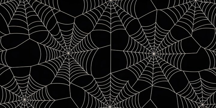 Intricate white spiderwebs create a detailed spooky and abstract pattern on a black background