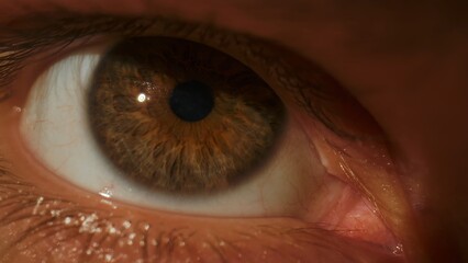 Macro shot of human brown eye with visible iris texture