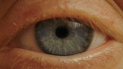 Macro shot of human blue eye with visible iris texture