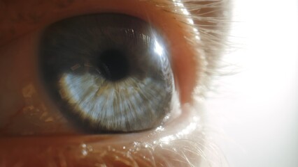 Macro shot of blue human eye with bright reflection and eyelashes