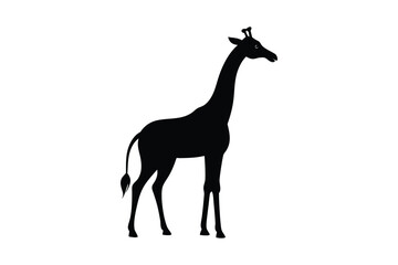 Fototapeta premium giraffe vector illustration