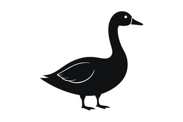 Obraz premium goose on white background