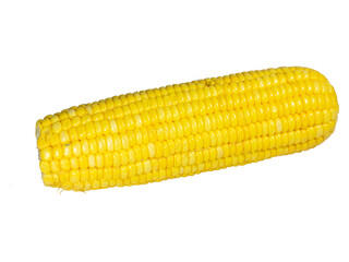 Corn isolated on white background. Clipping path included for easy extraction.
