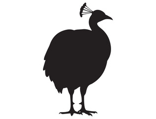 PEACOCK SILHOUETTE