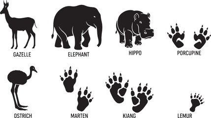 Naklejka premium Animal silhouettes and paw prints gazelle elephant, gazelle, elephant, hippo, porcupine, ostrich, marten, kiang, lemur, paw prints, animal tracks, black and white, illustration, wildlife, safari, zoo,