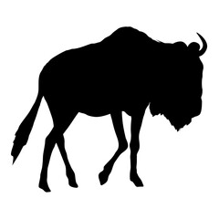 Wildebeest silhouette. Realistic vector animal