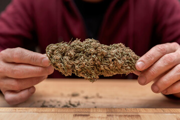 Close up of unrecognizable man's hands holding dried marijuana buds