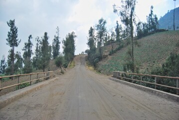 Rural dirt road passing over a bridge amidst green fields and trees under a cloudy sky