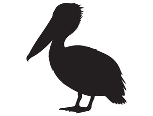  PELICAN BIRD SILHOUETTE