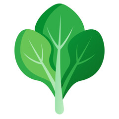 Spinach  vector illustration perfect for posters, icon, t-shirts, cards, wall art prints and ai design.