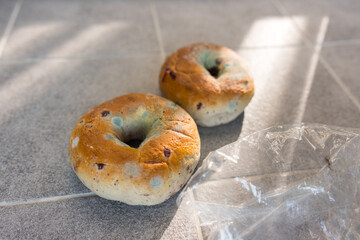 Moldy bagel on the  floor