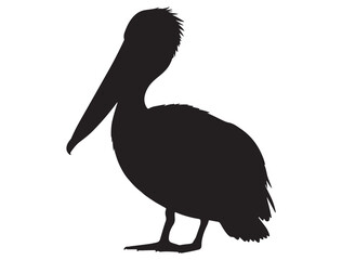  PELICAN BIRD SILHOUETTE
