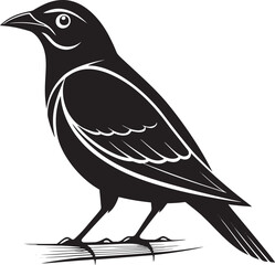 Fototapeta premium Black bird perched on branch white