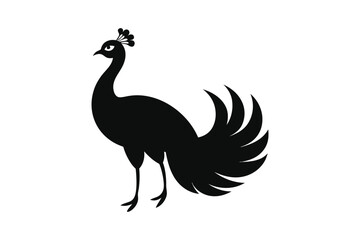 Fototapeta premium peacock vector illustration
