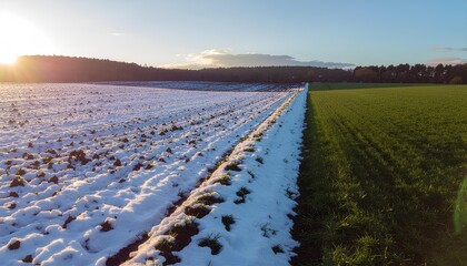 Cool Wallpapers Winter Landscape Snow And Green Field At Sunset