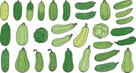 Vegetables assortment shows various cucumbers and zucchini. Healthy eating, vegetarian diet, agriculture, fresh produce, farm, organic food, nutrition.