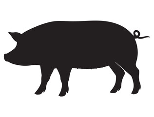 PIG SILHOUETTE