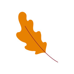 Orange oak leaf with smooth curves and thin stem in wind. Hand drawn vector illustration for autumn designs.