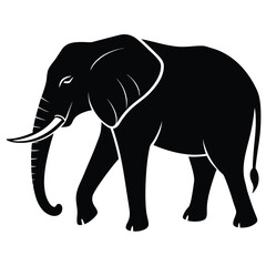 Fototapeta premium Elephant vector illustration elephant, animal, mammal, vector, wildlife, silhouette, illustration, wild, nature, zoo, animals, 