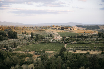 Fototapeta premium Golden hour illuminating rolling hills and vineyards in tuscany, italy