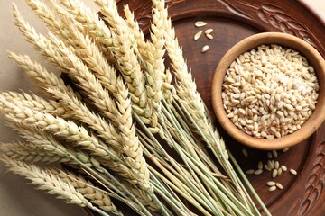 Many wheat spikes and seeds on paper background, top view