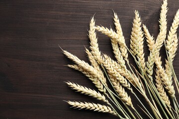 Many wheat spikes on wooden table, flat lay. Space for text