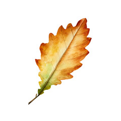 Watercolor oak leaf in warm autumn tones. Botanical hand drawn idolated illustration ideal for seasonal, forest, or nature-themed designs. Rustic foliage perfect for fall decor, woodland, or organic