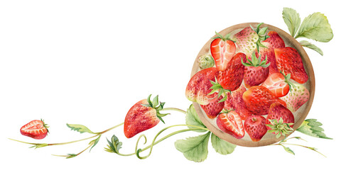 Strawberry full and half cut served on ceramic dish with leaves tendrils, ripe picked garden berry strasberry harvest. Isolated illustration hand drawn in watercolor. Dessert cafe menu, farmers market