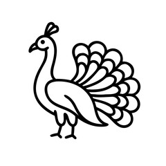 Obraz premium Line art peacock standing with fanned tail in minimalist style 