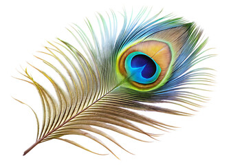 Fototapeta premium ethereal elegance a majestic peacock feather isolated on white background PNG, AI GENERATED