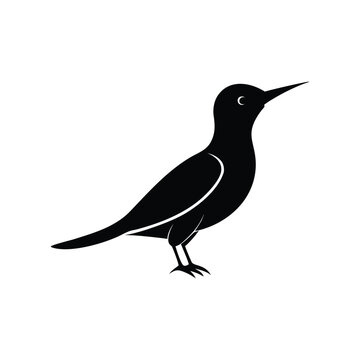 a jacamar bird full black silhouette vector illustration on white background