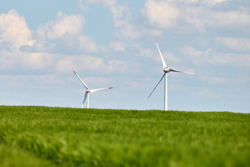 Two wind turbines standing in lush green wheat field with bright blue sky and scattered white clouds in background