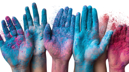 A top-down view of multiple hands filled with Holi colors in blue and rose pink. isolated on transparent background