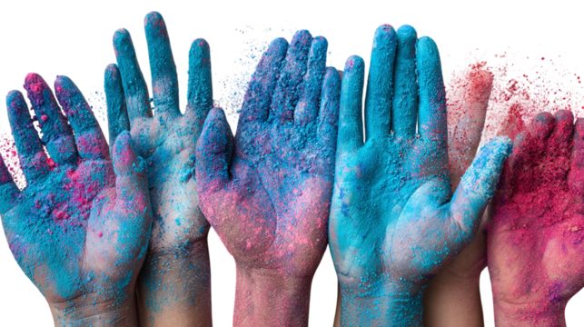 A top-down view of multiple hands filled with Holi colors in blue and rose pink. isolated on transparent background 