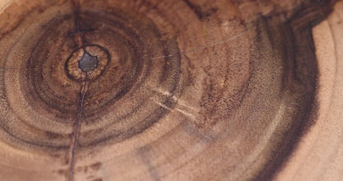 processed beautiful walnut wood used for the manufacture of objects, serving stand