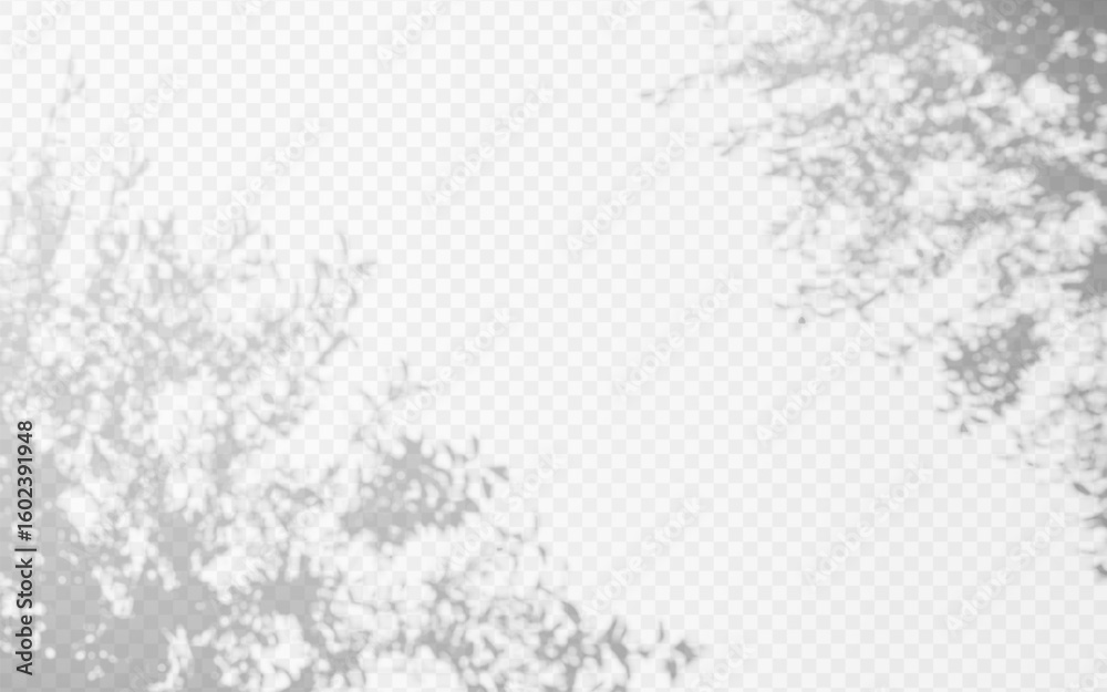 Wall mural abstract shadow overlay from tree branch on a transparent background.