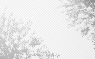 Abstract shadow overlay from tree branch on a transparent background. © TanyaFox