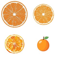 32-bit of Orange, in a vector style, isolated white background