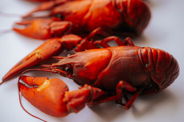 Multiple bright red boiled crawfish lined up diagonally on a white background, with copy space on...