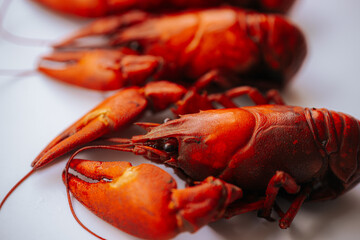 Multiple bright red boiled crawfish lined up diagonally on a white background, with copy space on the left.