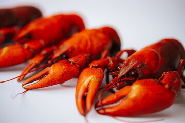 Multiple bright red boiled crawfish lined up diagonally on a white background, with copy space on...
