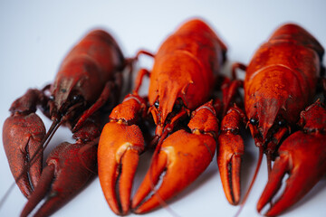 Multiple bright red boiled crawfish lined up diagonally on a white background, with copy space on...
